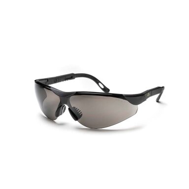 Active Gear Aps. akiniai Active Gear V141, tamsinti