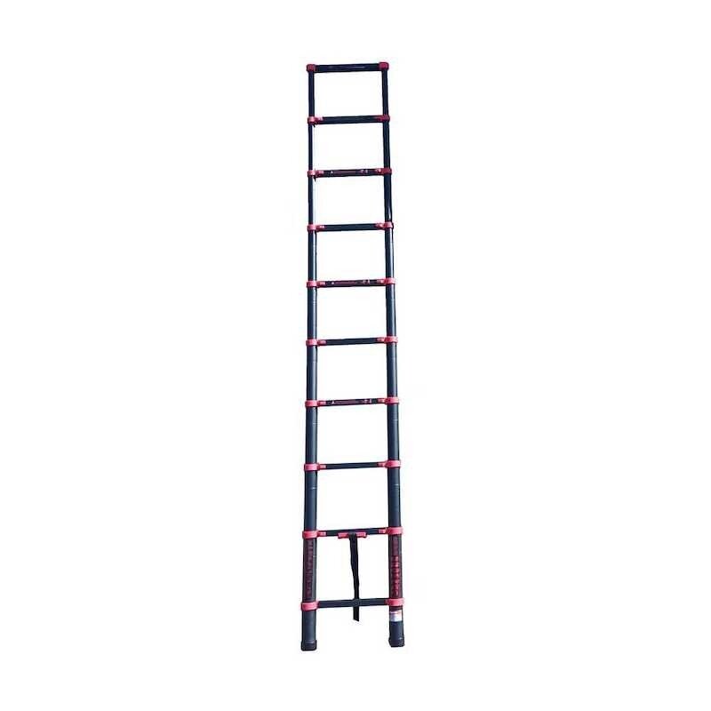Draumet Suskleidžiamos kopėčios 2,9 m