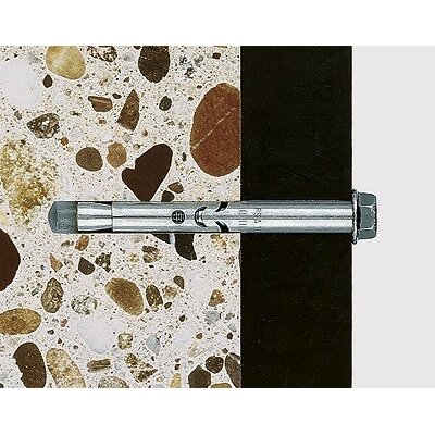 Fischer Ankeris su varžtu FSA S 8/15 8x60 mm 1