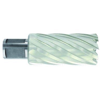 Metalo gręžimo freza Ø19X80X50 мм HSS, tvirtinimas Ø19 мм, Weldon Metalo gręžimo freza Ø19X80X50 мм HSS, tvirtinimas Ø19 мм, Weldon
