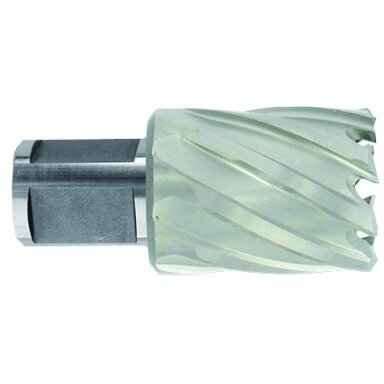 Metalo gręžimo freza Ø24X60X30 мм HSS, tvirtinimas Ø19 мм, Weldon Metalo gręžimo freza Ø24X60X30 мм HSS, tvirtinimas Ø19 мм, Weldon