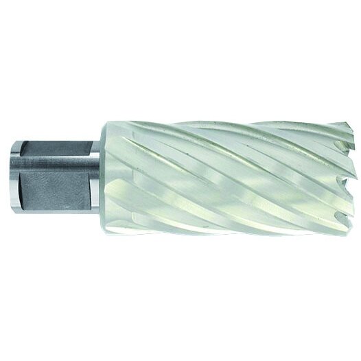 Metalo gręžimo freza Ø30X80X50 мм HSS, tvirtinimas Ø19 мм, Weldon Metalo gręžimo freza Ø30X80X50 мм HSS, tvirtinimas Ø19 мм, Weldon