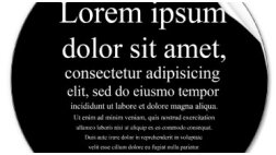 Straipsnis su galerija